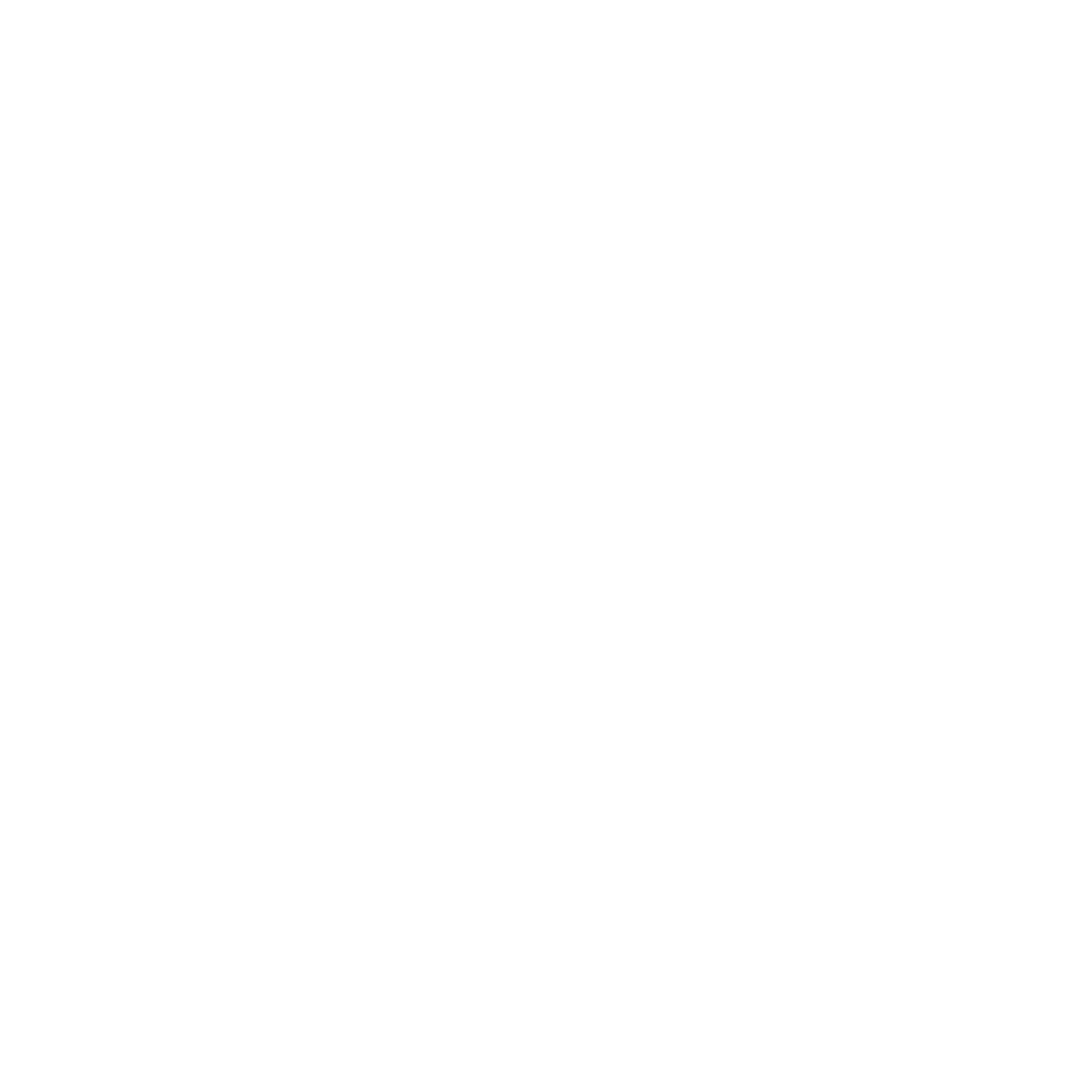 evolv vit logo